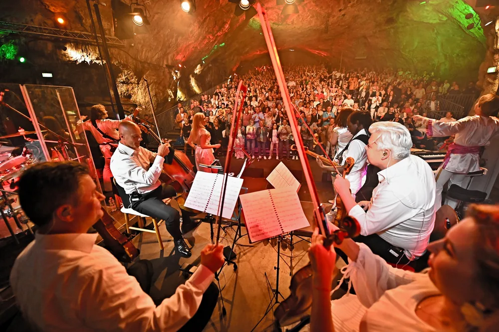 Das Streichquartett bei einem Konzert